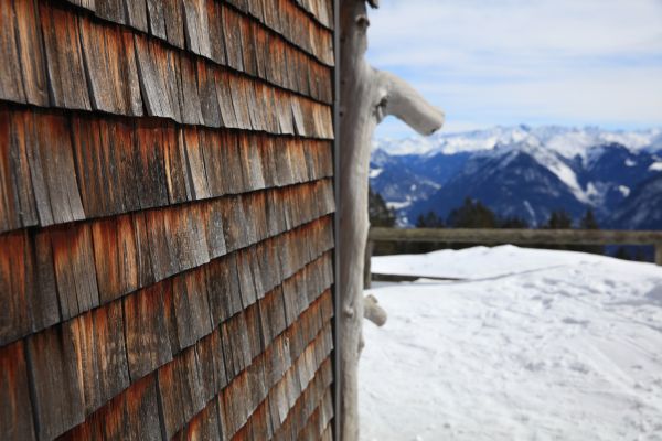 Cedar Siding Repair in Loveland
