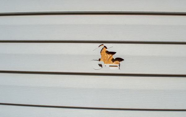 Siding Hole Patching in Loveland