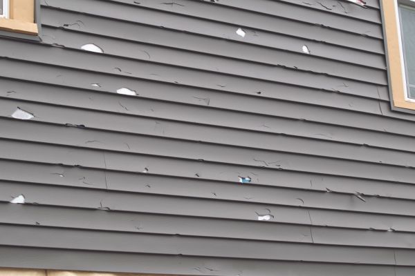 Damaged Siding Replacement in Loveland