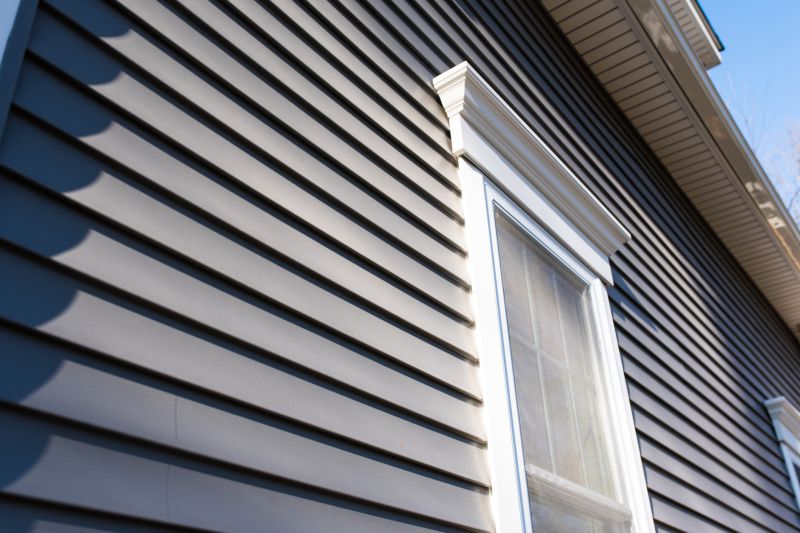 Painting or Customizing Siding